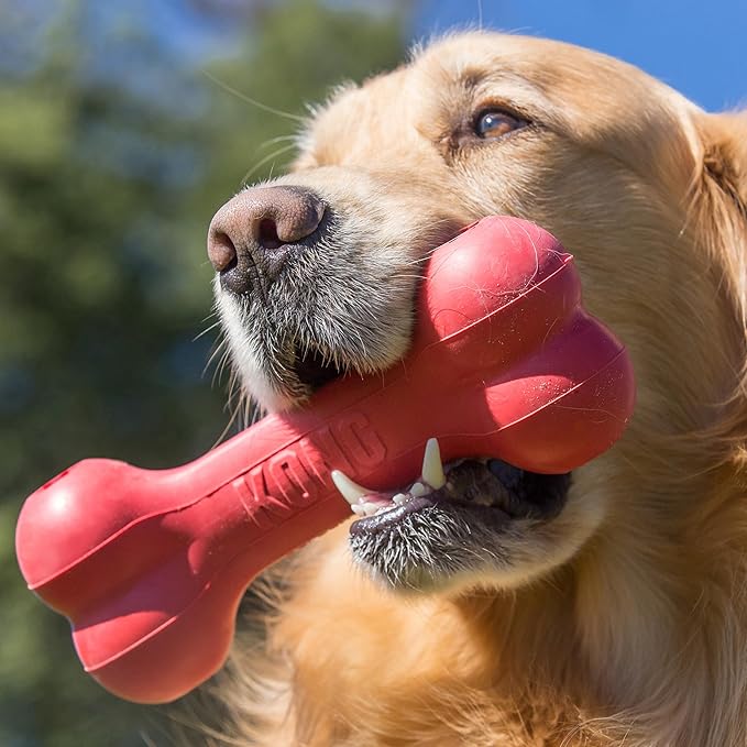 KONG Goodie Bone - Classic Durable Natural Rubber Dog Bone, Supports Mental Engagement - Treat Dispensing - Red - for Medium Dogs