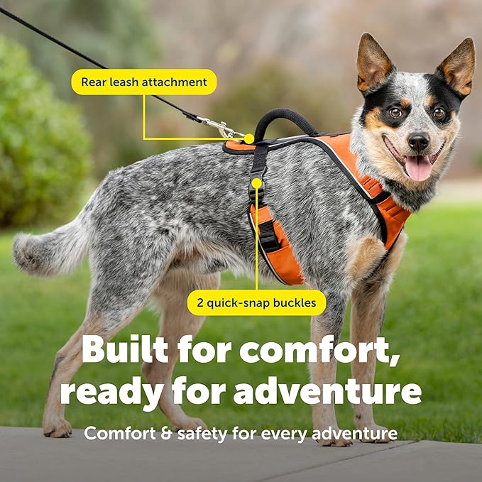 PetSafe EasySport Dog Harness Adjustable, Padded Dog Harness with Control Handle and Reflective Piping Medium, Orange