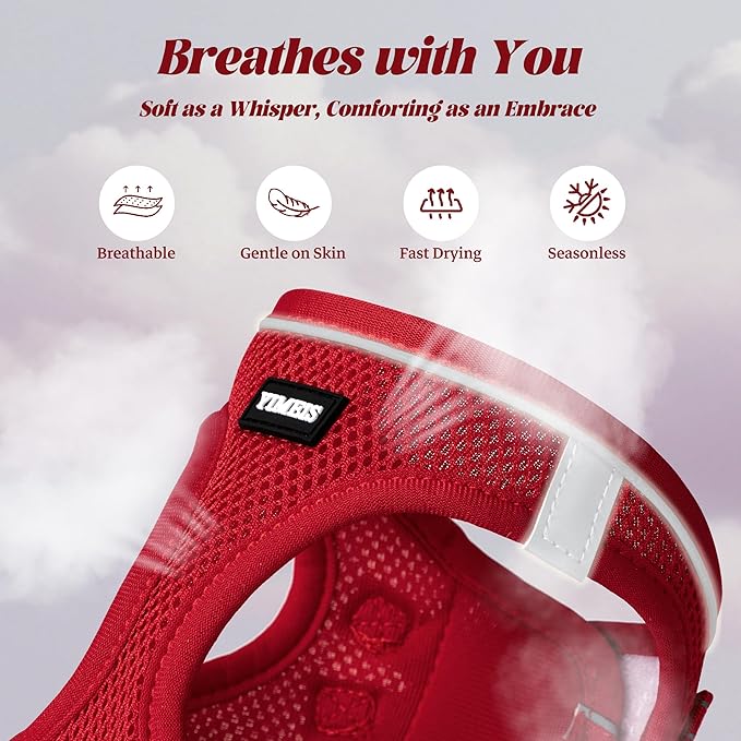YIMEIS Dog Harness and Leash Set, No Pull Soft Mesh Pet Harness, Reflective Adjustable Puppy Vest for Small Medium Large Dogs, Cats (Red 02, Small (Pack of 1)