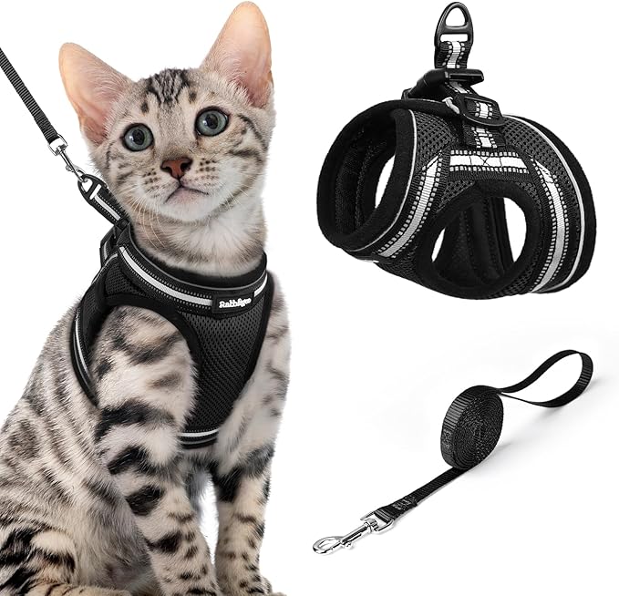 rabbitgoo Cat Harness and Leash, Step-in Escape Proof Kitten Harness Set, Soft Comfortable Cat Vest, Easy to Wear and Adjust, Reflective for Safe Outdoor Walking, Black, X-Large