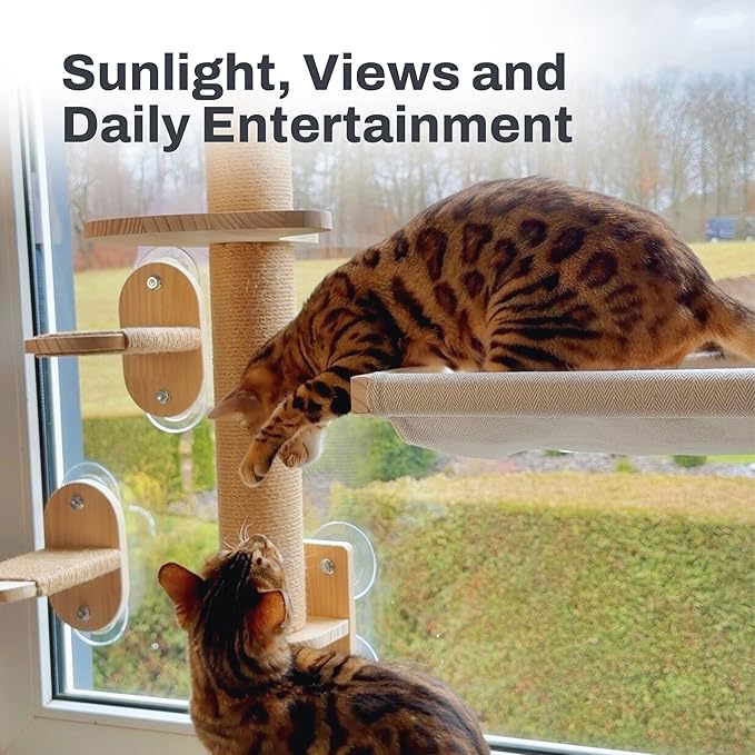 4-in-1 Window & Wall Mount Cat Wall Shelves – Hammock, Steps & Scratching Post with Landing | Space-Saving Pet Furniture for Glass & Drywall | Modern Cat Window Perch | Fits up to 40 lbs