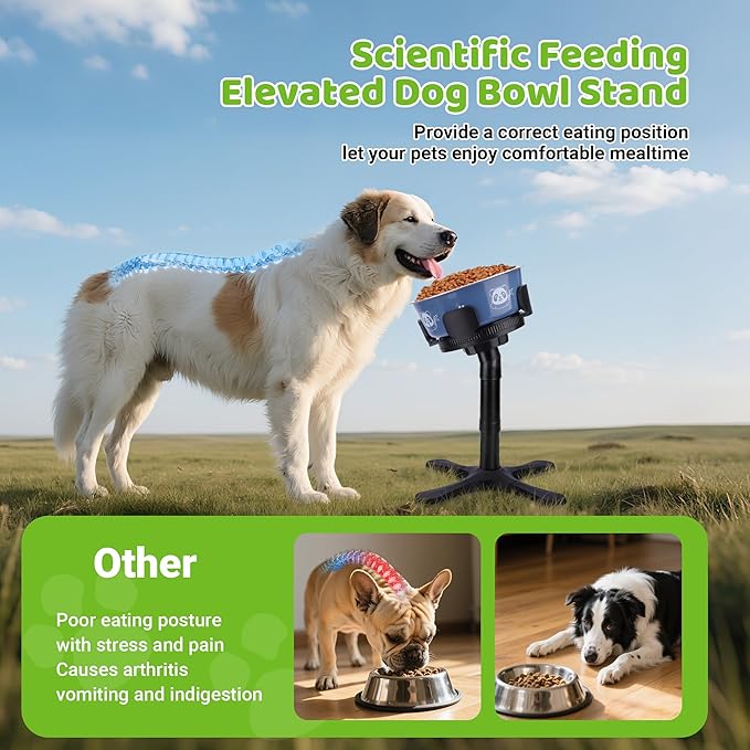Dog Bowls,Elevated Adjustable Dog Bowl Stand with 3 Heights & Tilted Feeding Design, Raised Stand Compatible with Medium & Large Breeds(2 Pack) Black