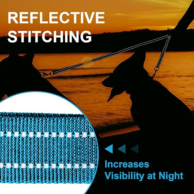 MingXpet Double Dog Leash for Two Dogs, No Pull Dog Leash, 360° Swivel No Tangle for Medium Dogs Walking & Training, Shock Absorbing Reflective Bungee, Blue