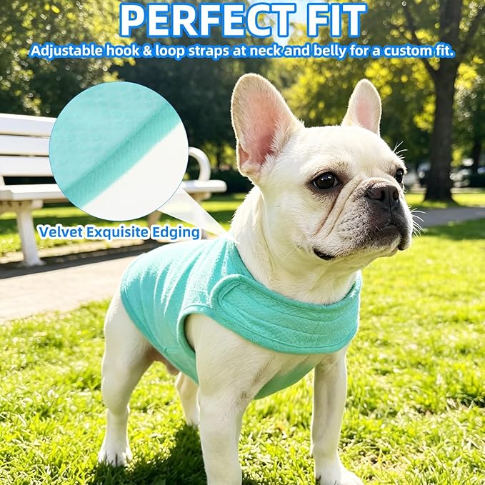 PUPTECK Dog Cooling Vest, Breathable Mesh PVA Dog Shirt, Lightweight Soft Instant Chill Sleeveless Pet Clothes, Adjustable Cooler Jacket Puppy Outfit for Hot Summer Outdoor, Green M