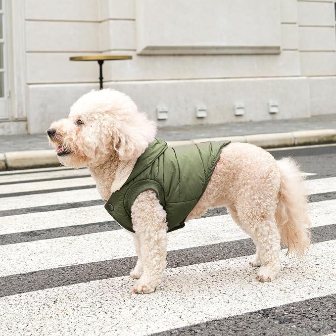 Vecomfy Fleece Lining Extra Warm Dog Hoodie in Winter,Small Dog Jacket Puppy Coats with Hooded Green XS