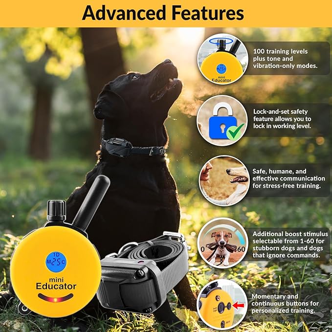 E-Collar ET-300 Mini Educator Remote Dog Training Collar – 1/2 Mile Waterproof, Premium Finger Clicker Trainer, 100 Stimulation Levels + Vibration + Light + Sound – 1 Dog Small to Medium, Yellow