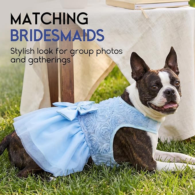 ASENKU Dog Dress Pet Wedding Dress Princess Lace Puppy Birthday Party Outfit Formal Apparel Girl for Small Medium Dogs Cats (XX-Small, Blue)