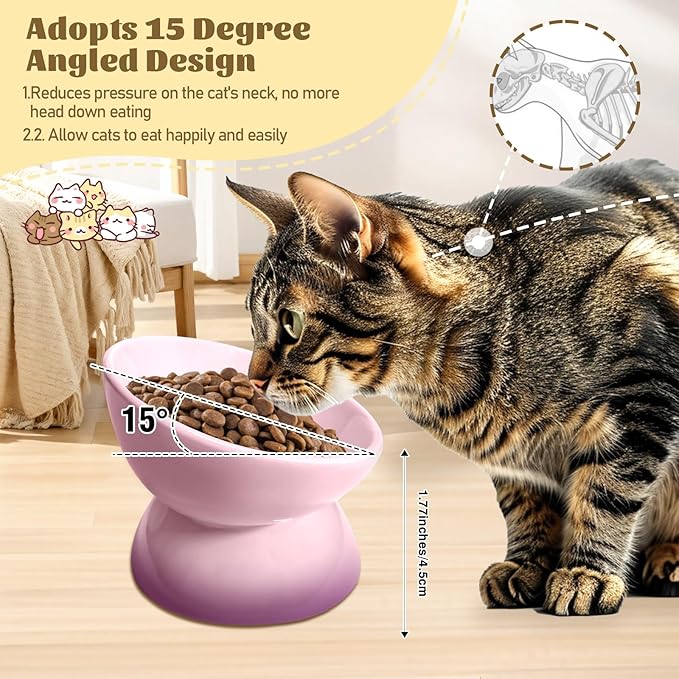 4Pcs Ceramic Raised Cat Bowl Elevated Cat Bowls Tilted Cats Food Dishes Pet Bowl Stand Feeder Cute Cats Bowl for Kittens Puppies Small Dog Whisker Fatigue Protect Kitten Spine(Gradient Color)