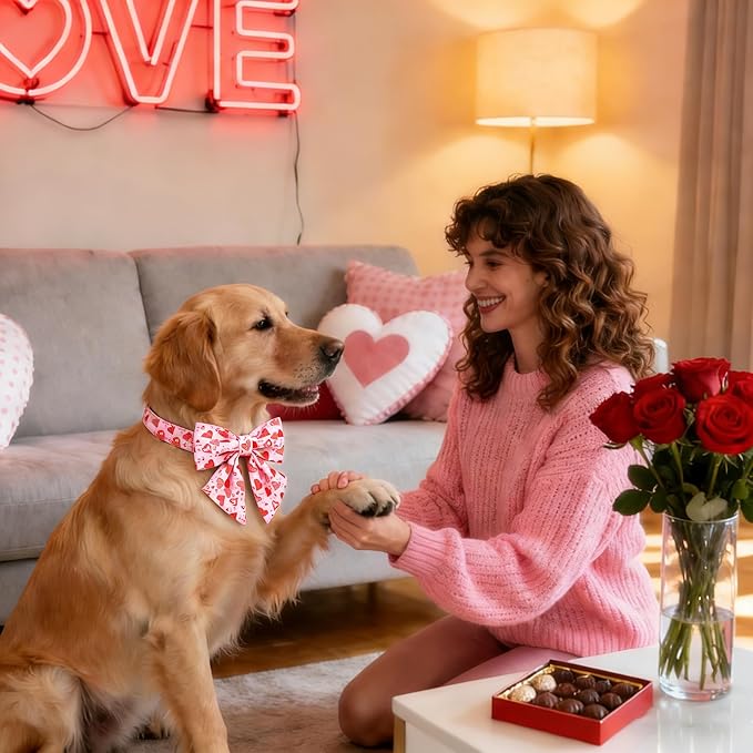 DOGWONG Valentine's Day Dog Collar with Bow Tie - Adorable Pet Collar Red Hearts with Rose Gold Buckle for Large Medium Small Dog Walking, XS