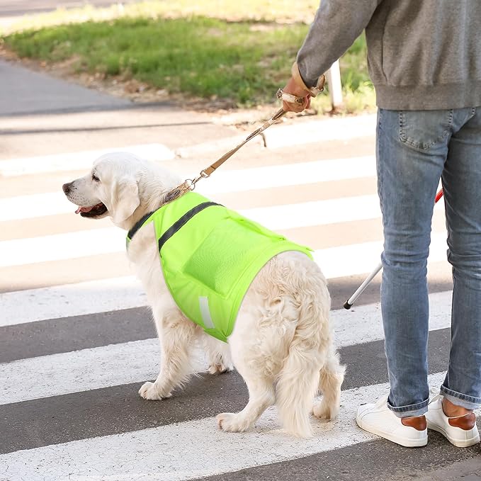 Aliceset 2 Pcs Dog Cooling Vest with 4 Recyclable Ice Pack Summer Outdoor Dog Cooling Harness Shirt Adjustable Pet Cooler(Fluorescent Green,Large)
