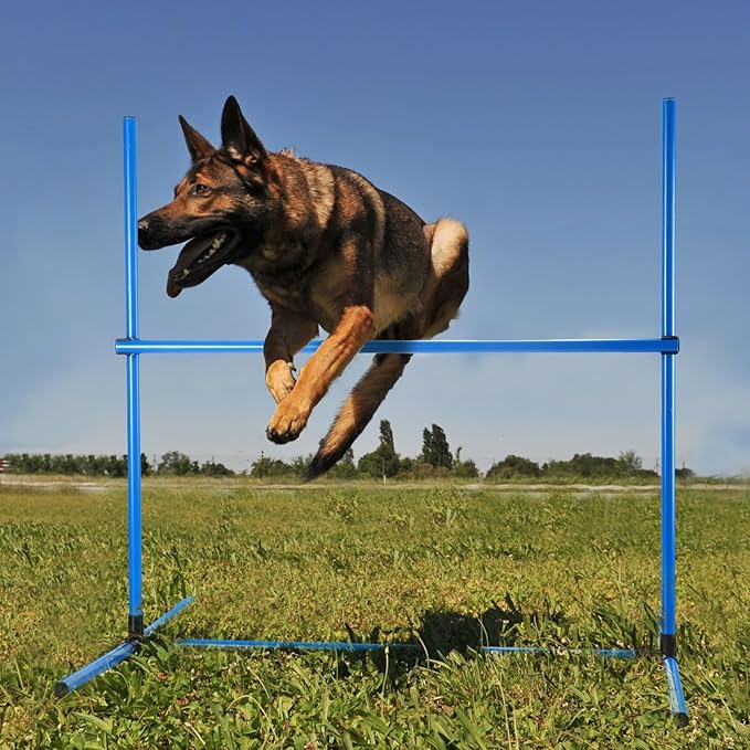 Shappy 4 Pieces Dog Agility Equipment with Adjustable Height Jump Bars Adjustable Dog Agility Jumps with Carry Bag Exercise Jumping Hurdles for Indoor Outdoor Course Game(Blue)