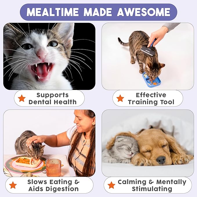 Awoo Sardina - Silicone Lick Mat + Slow Feeder for Cats & Small Dogs - Non-Slip Design with Suction Cups - Dishwasher Safe Pet Dish - Extends Mealtime and Reduces Anxiety - for Wet & Dry Food (Melon)