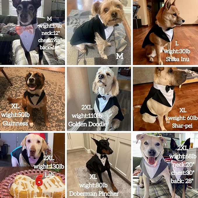 Dog Tuxedo for Large Dogs, Dog Wedding Suit and Bowtie