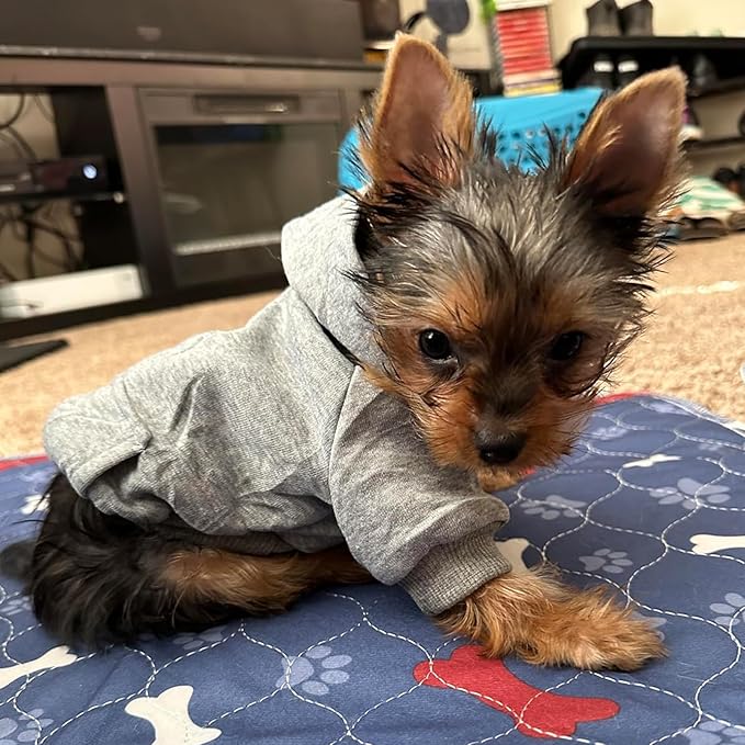 Jecikelon Soft Dog Hoodies for Small Dogs, Fleece Puppy Sweatshirt with Pockets, Warm Winter Cold Weather Coats for Pet Cat, Cute Clothes Puppy Costume (Grey, Medium)