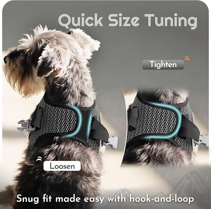 Eagloo Small Dog Harness and Leash Set, Step in Puppy Vest with Breathable Soft Mesh, Walking Reflective Pet Harness for Small Dogs, Gray, XS