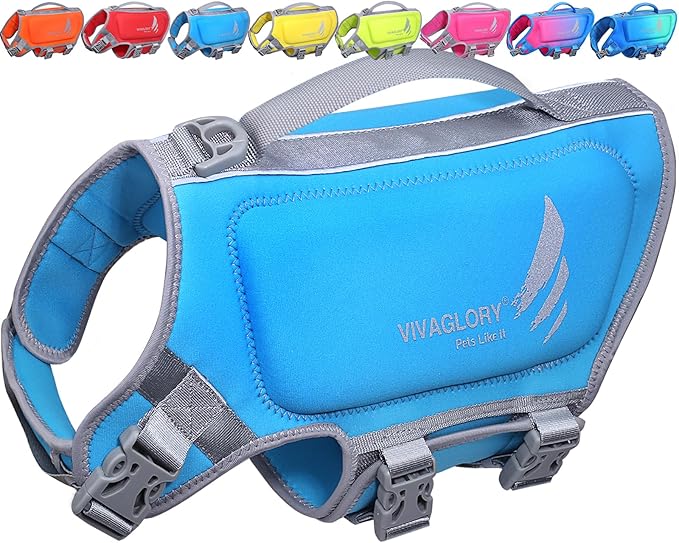 VIVAGLORY High Buoyancy Dog Life Vest, Swimming Vest with Handle, Dog Life Jacket for Swimming & Boating, Buoyancy for Puppy Doggy, XS, Blue