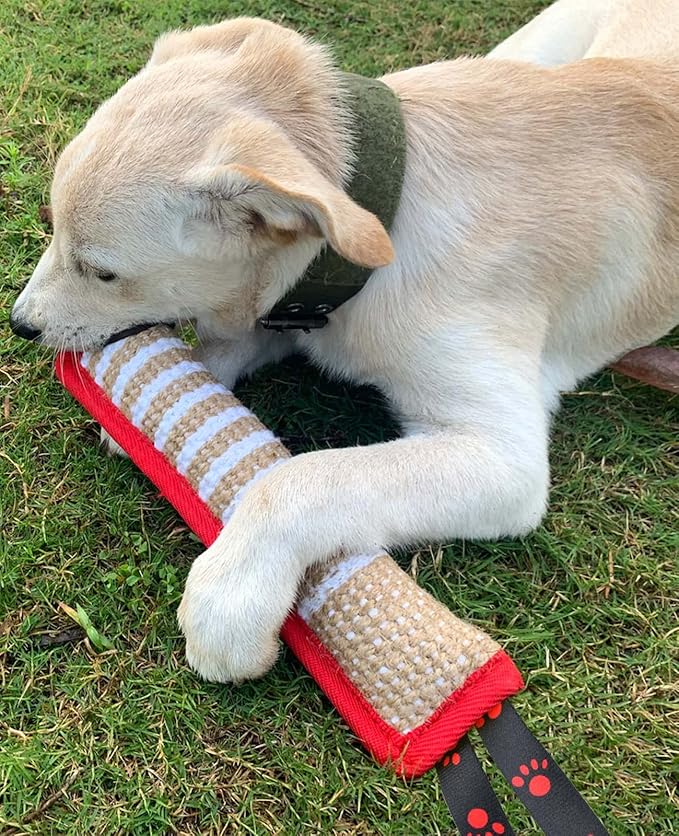 Clysoru Dog Tug Toy Tough Jute Bite Pillow Lasting Training Equipment Puppy to Large Dogs Interactive for Large and Small