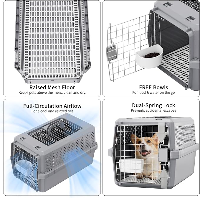 RIZZARI Pets Spree Hard-Sided Pet Travel Carrier, Portable Crate for Medium Dogs and Cats, Durable Plastic Carrier with Metal Door and Ventilation, Ideal for Air Travel, Trips and Outdoor Use