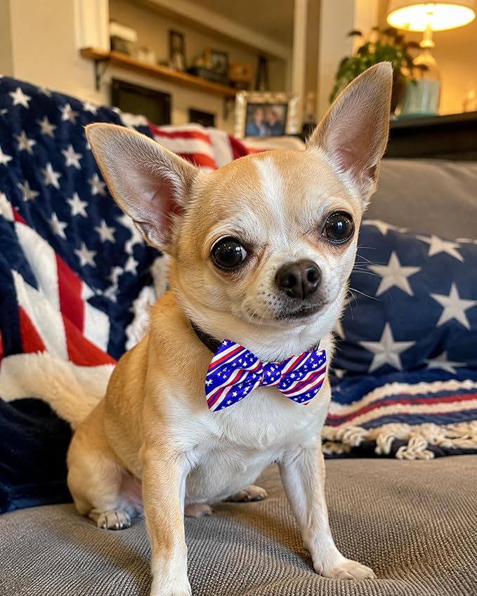 PET SHOW 10 Pack Holiday Small Dog Bow Ties Sliding Collar Attachments Puppy Cats Festival Bowties for Medium Dogs Spring Summer Bowknots Birthday Party Pet Grooming Accessories(Small)