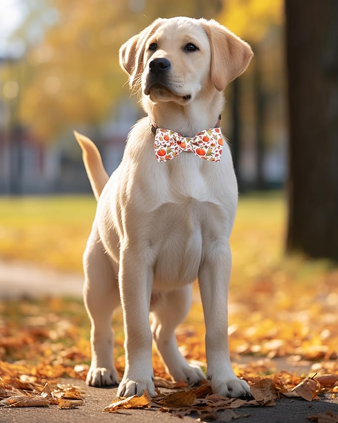 PET SHOW 10 Pack Fall Big Dog Bow Ties for Large Medium Dogs Sliding Collar Attachments Autumn Bowties Pumpkin Maple Leaf Bowknots Holiday Party Pet Grooming Accessories(Large)