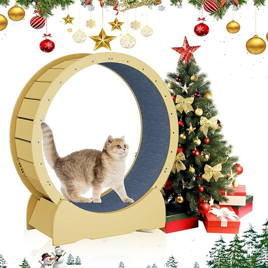 Upgraded Cat Exercise Wheel for Indoor Cats with Silent, Oversized Cat Running Wheel with Carpeted Runway for Fitness Activity Center Running (Oak)