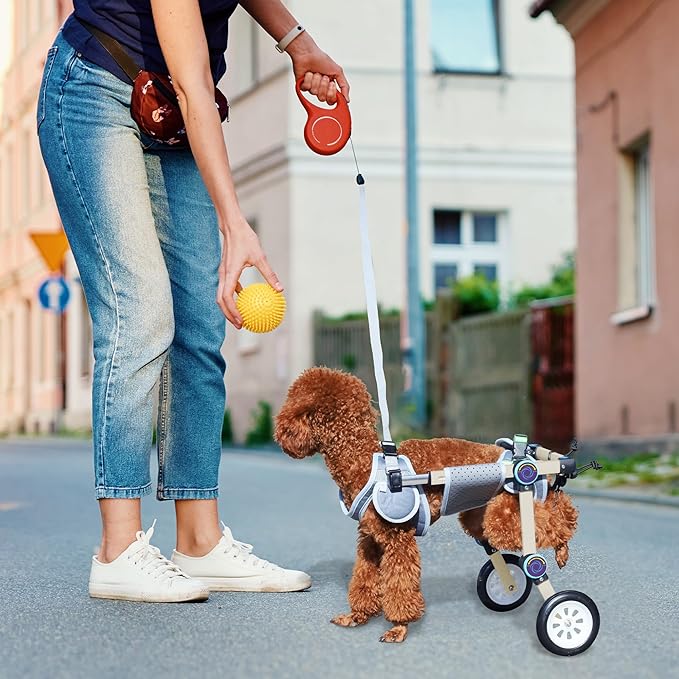Adjustable Dog Wheelchair for Back Legs Mobility Support Lightweight Pet Wheelchair for Disabled Hind Legs Walking Stable Dog Cart for Pets, Pink (Small)