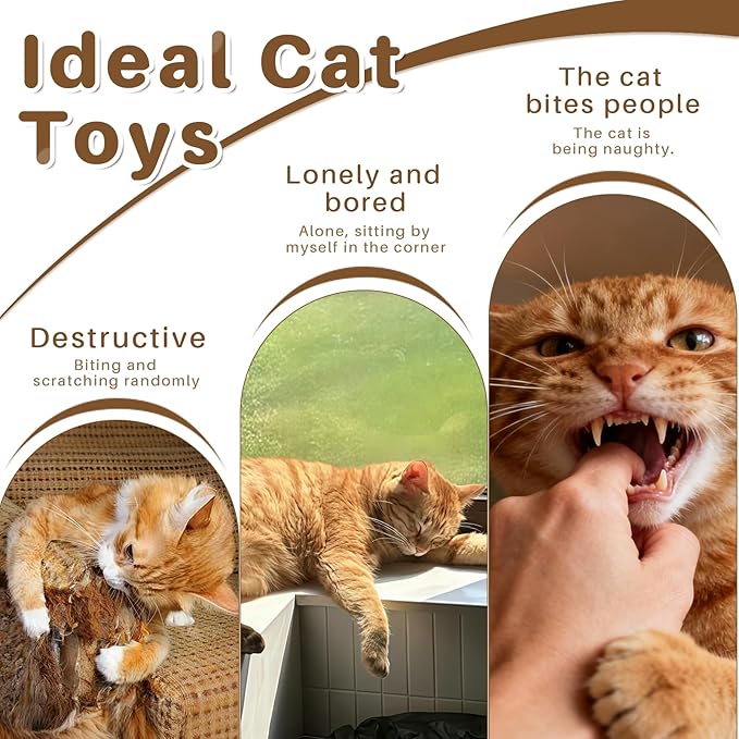 Walfront Interactive Cat Wand Toy with Butterfly, Telescopic Fishing Rod Design, Realistic and Lively for Indoor Cats and Kittens, Fun for Multi-Cat Households and Engaging Daily Play
