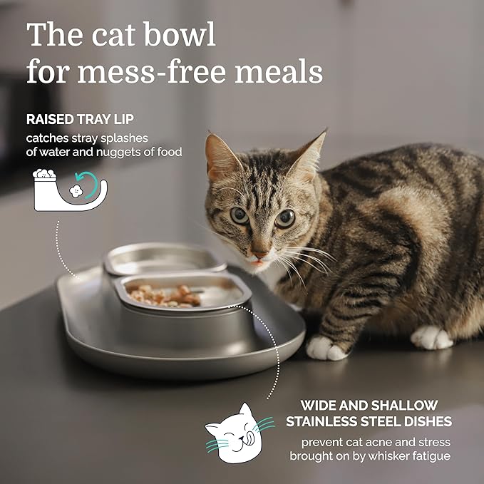 Hepper NomNom - Spill Proof Elevated Cat Bowls for Food and Water - Whisker Relief Bowl + Raised Cat Food Bowls: a Safe Dish for Messy Cats - Stainless Steel Cat Bowl Station