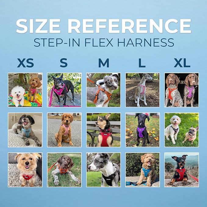 Best Pet Supplies Voyager Adjustable Step-in Flex Breathable Mesh Dog Harness for Small Medium Large Dogs Leash Set (Red), XS