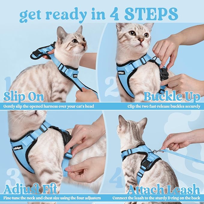 rabbitgoo Cat Harness and Leash Set, Escape Proof Kitten Harness for Safe Outdoor Walks, Soft Breathable Adjustable Vest with Reflective Strips for Kittens and Extra Small Cats, Light Blue, XXS