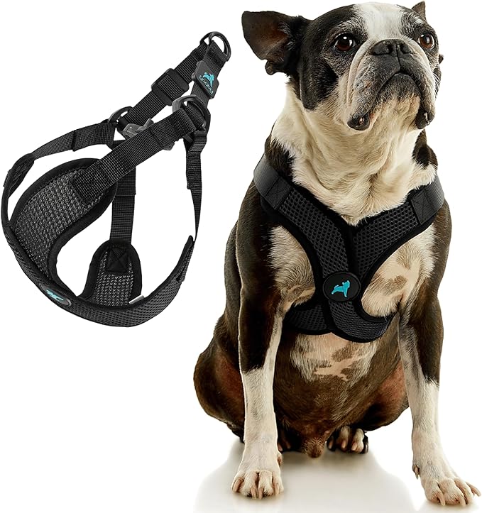 Gooby Comfort X Step in Lite Dog Harness - Choke Free, Escape Free with Light Breathable Mesh - Step in Dog Harness for Small Dogs Only - Quick Release Buckle, Metal D-Rings - Black, X-Large