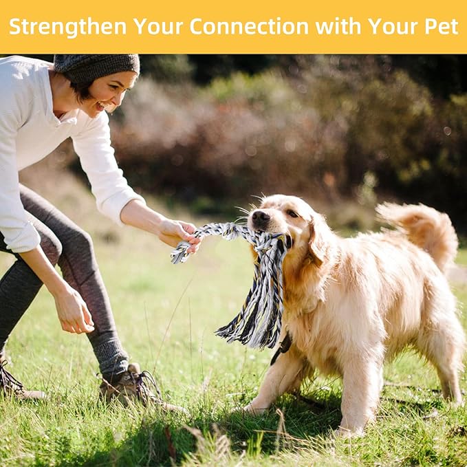 Gingull Outdoor Flirt Pole for Dogs - Interactive Toy Teaser Wand for Dogs Outdoor Chase and Tug of War Heavy Duty Dog Flirt Pole, Durable Pet Toys for Dog, Black