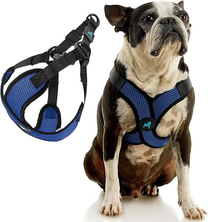 Gooby Comfort X Step in Lite Dog Harness - Choke Free, Escape Free with Light Breathable Mesh - Step in Dog Harness for Small Dogs Only - Quick Release Buckle, Metal D-Rings - Blue, Small