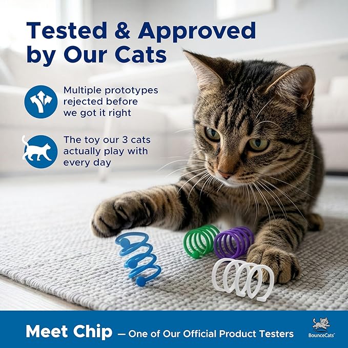 Cat Spring Toys Cats Can't Resist – Family Made in the USA, Set of 4