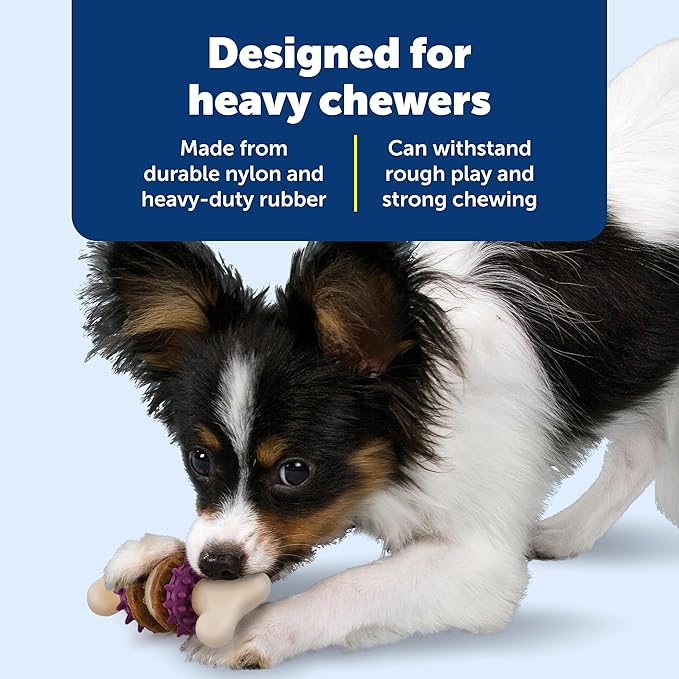 PetSafe Busy Buddy Bristle Bone Dog Chew Toy - Treat Holding Toothbrush Toy for Hard Chewers - Helps Keep Your Dog's Teeth Clean - Durable, Interactive - Purple, Small