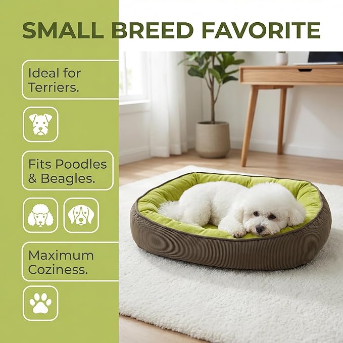 Calming Dog Bed for Medium to Large Dogs 30"x20" - Orthopedic Washable Pet Bed with Anti-Slip Bottom, Indoor Soft Cat Bed with Removable Cover (Lime Green)
