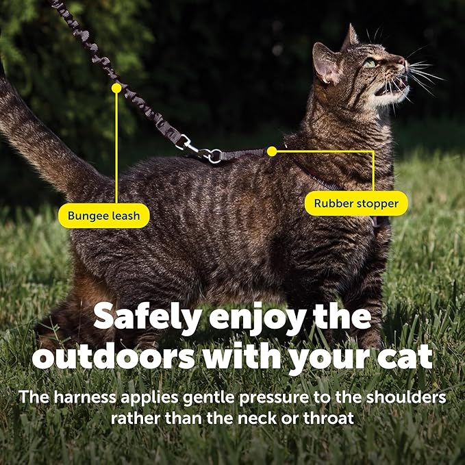 PetSafe Come with Me Kitty Harness and Bungee Leash Adjustable, Lightweight Harness for Cats Small, Black