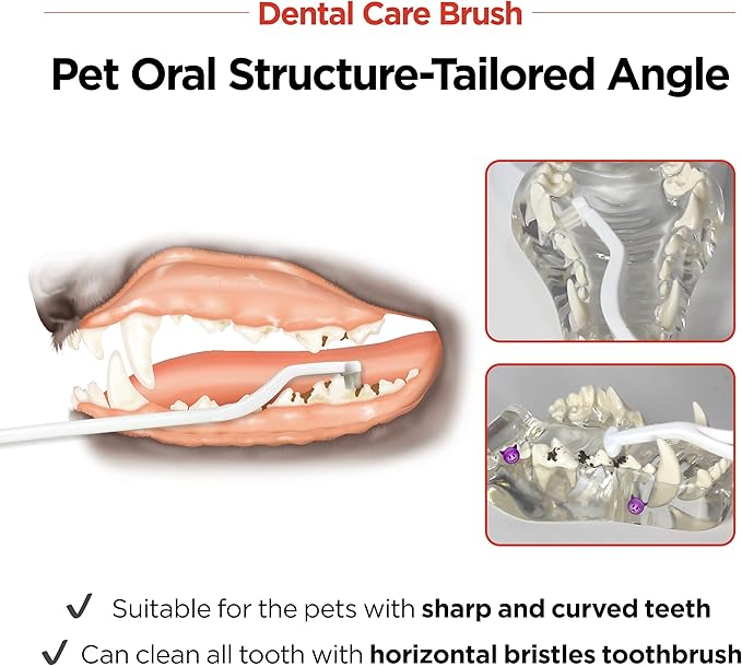 JAYU PET Dental Care Brush with Soft Bristles 1ea - Dog Toothbrush, Cat Toothbrush, Dental Care for Kitten and Small Dogs, Removing Old Plaque and Tartar, Easy Cleaning