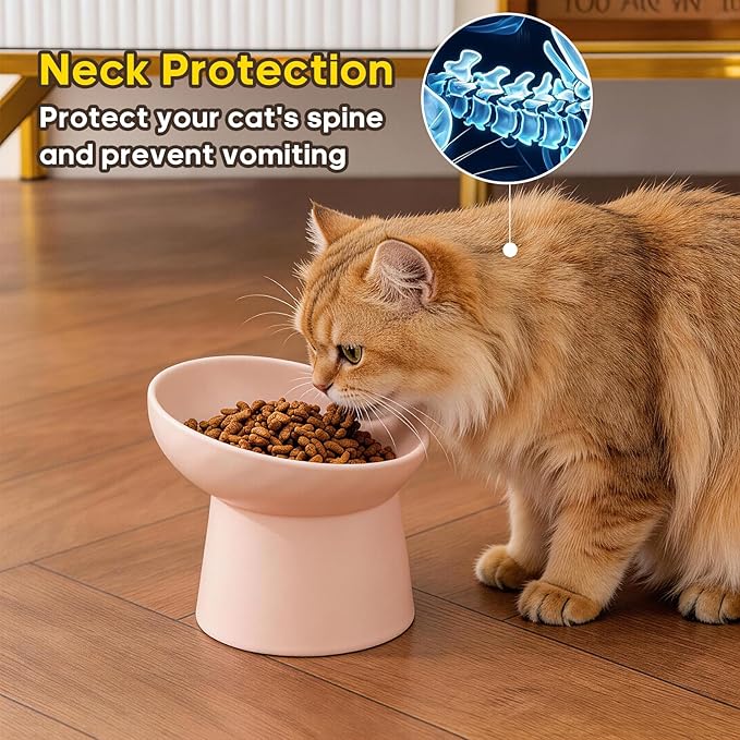 Ceramic Raised Cat Bowls - Elevated Tilted Cat Food and Water Bowls Set, Anti Vomiting and Protect Pets' Spines Pet Feeding Dish for Cats, Dishwasher Microwave Safe (2 x Bowl - Pink)