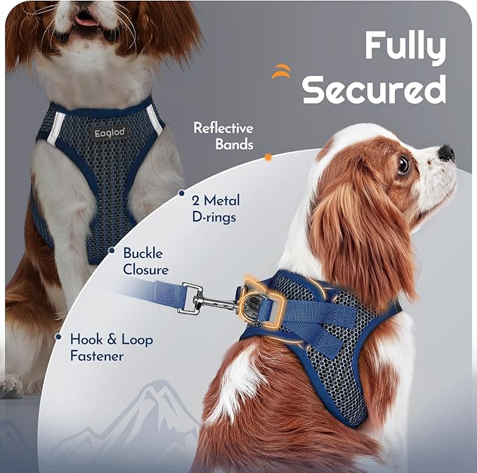 Eagloo Small Dog Harness and Leash Set, Step in Puppy Vest with Breathable Soft Mesh, Walking Reflective Pet Harness for Medium Small Dogs, Navy Blue, L