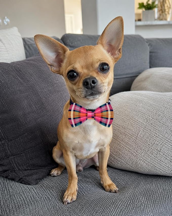 PET SHOW 10 Pack Plaid Small Dog Bow Ties Sliding Collar Attachments Puppy Cats Classic Bowties for Medium Dogs Rainbow Bowknots Birthday Party Holiday Pet Grooming Accessories(Small)