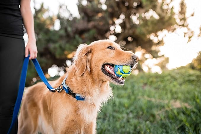Outward Hound by Planet Dog Orbee-Tuff Planet Ball Blue/Green Treat-Dispensing Dog Toy, Large