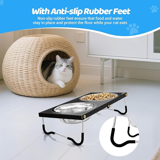 Upgraded Elevated Cat Bowls,10°Tilted Foldable Stand Anti Vomiting Raised Cat Dishes for Food and Water,2 Stainless Steel Bowls for Cats and Puppy (2 Pack)