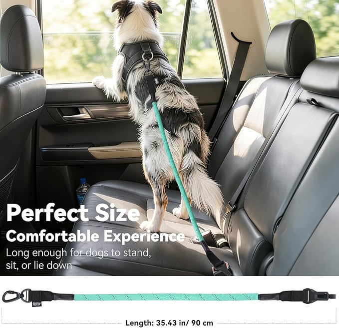 Dog Seat Belt for Car, Universal Dog Car Seatbelt with Buckle and Hook Latch, 360° Rotatable Lockable Clasp, Reflective Safety Pet Harness for Vehicle, Pet Safety Restraint, Cyan