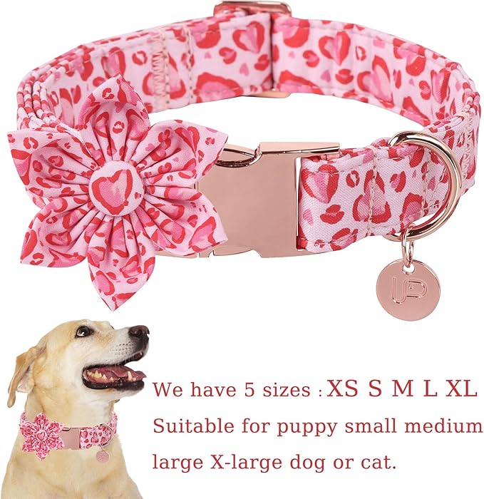 Valentine Dog Collar with Flower, Heart Flower Collar for Puppy Girl Boy Dog or Cat, Comfortable Dog Collar Flower with Durable Metal Buckle, Cute Pet Collar, M, Neck 13.5-22in