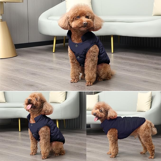 JoyDaog 2 Layers Fleece Lined Warm Dog Jacket for Puppy Winter Cold Weather,Soft Windproof Small Dog Coat,Blue XS