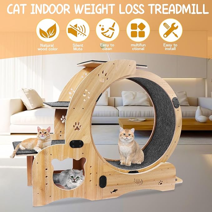 6-in-1 Upgraded Cat Wheel Exerciser for Indoor,Large Cats Treadmill,Cats Running Wheel with Silent Wheels,Loss Weight Device ﻿