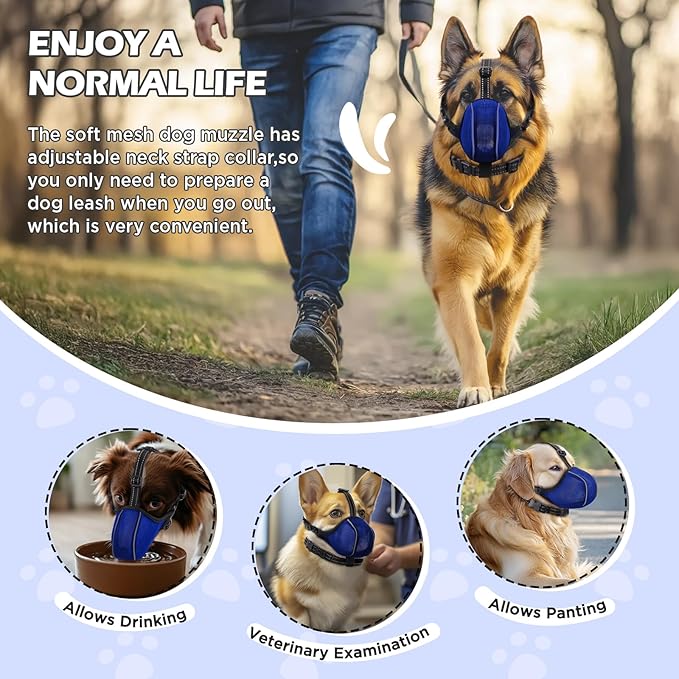Dog Muzzle - Soft Breathable Mesh Nylon Adjustable Muzzle for Small Medium Large Dogs | Prevents Chewing,Biting & Scavenging | Allows Panting, Drinking & Grooming | Secure Collar Strap Design(Blue M)