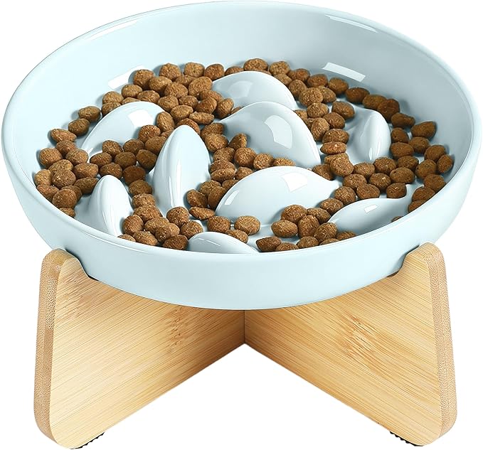 PETTOM Slow Feeder Cat Bowl with Stand, Ceramic Slow Eating Cat Bowl with Higher Edges Fish Pool Design Elevated Food Bowls for Dry and Wet Food Anti-Vomiting Puzzle Feeder for Healthy Eating Diet