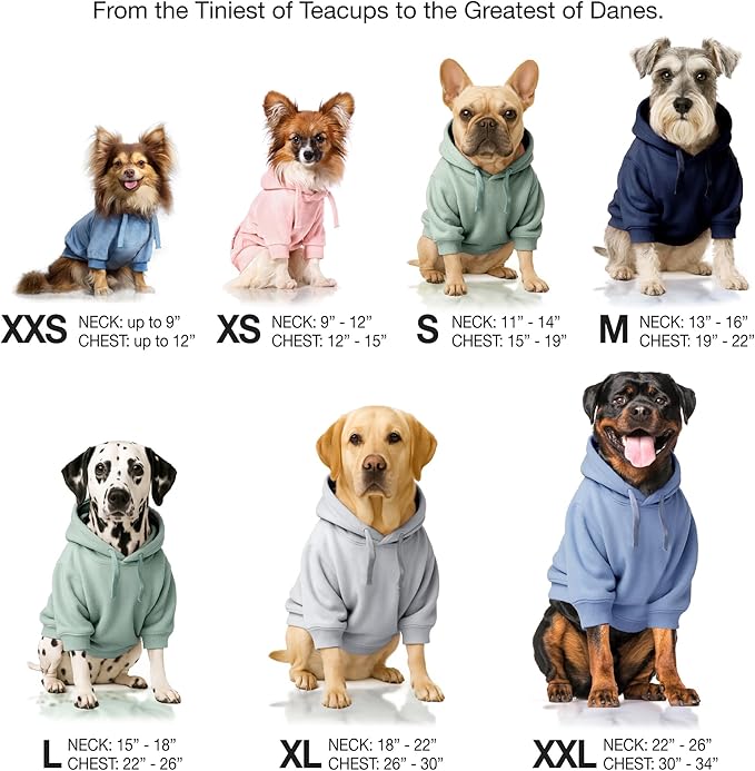 Pet Passion Cooper II Organic Cotton Velour Dog Hoodie Pet Coat for Small, Medium and Large Dogs, Black, X-Large (55-80 lbs)